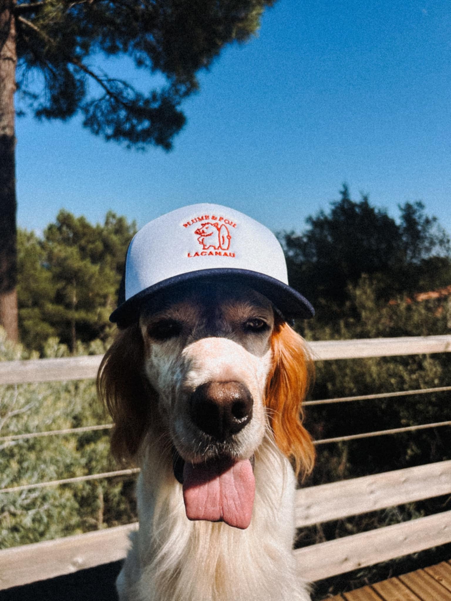 Casquette - Wildboar Navy / Blanc